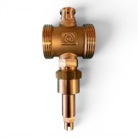 HEIZKRAFT Frostschutzventil 1 1/4" AG