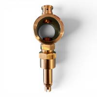 HEIZKRAFT Frostschutzventil 1 1/4" AG