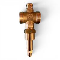 HEIZKRAFT Frostschutzventil 1 " AG